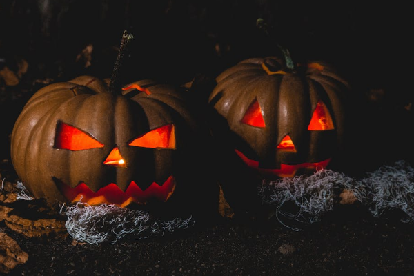 A Review of Explore trails carolina horror stories trails carolina horror stories